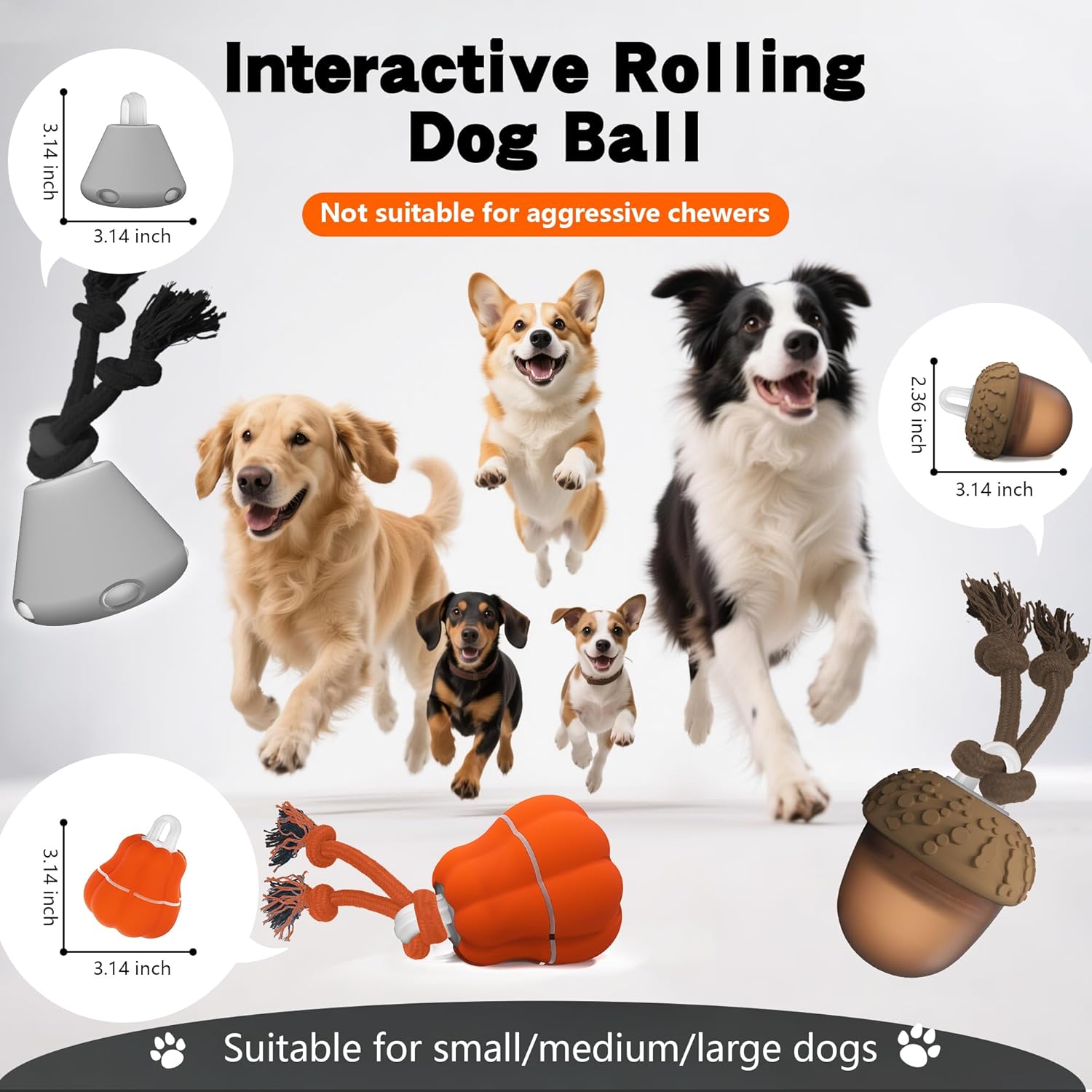🐶 The Ultimate Winter Energy‑Burning Toy for Dogs
