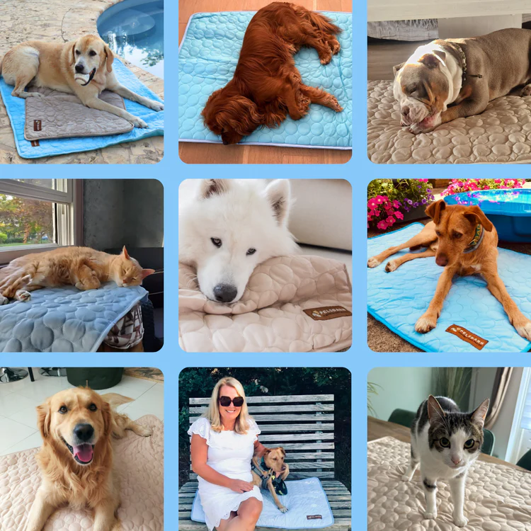 Petsboro™ Pet Cooling Summer Mat
