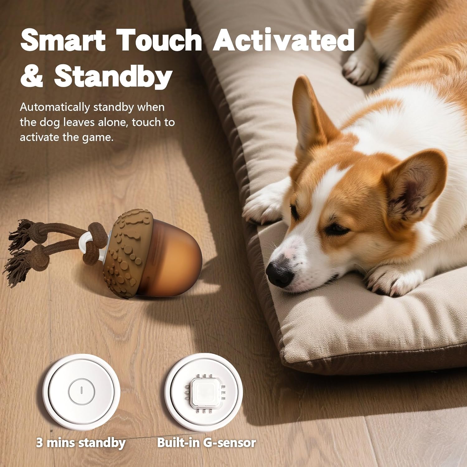 🐶 The Ultimate Winter Energy‑Burning Toy for Dogs