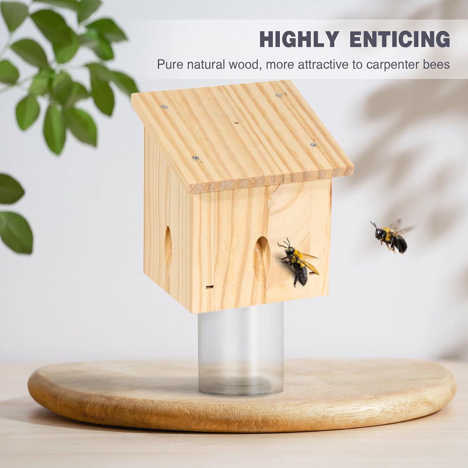 Natural Hanging Wood Bee Trap