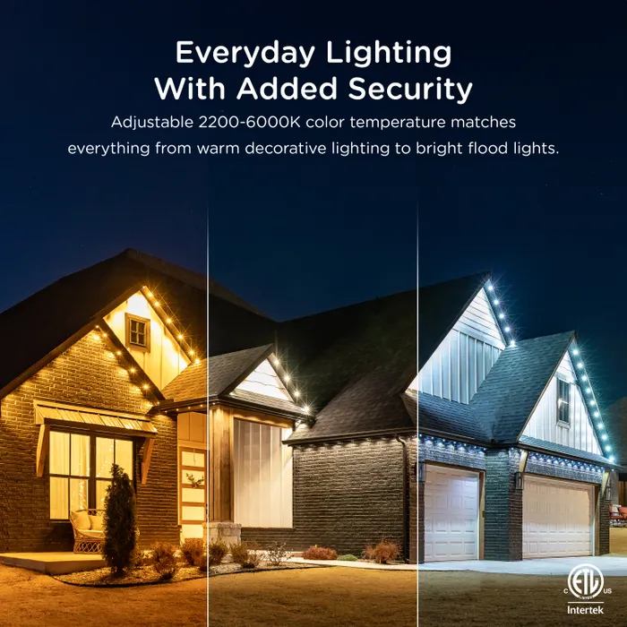 ✨Hot Sale 49% OFF -- Permanent Outdoor Lights