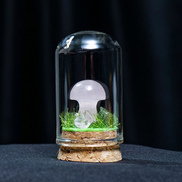 🍄Mini Crystal Mushroom Terrariums| Choose Your Natural crystal Mushroom