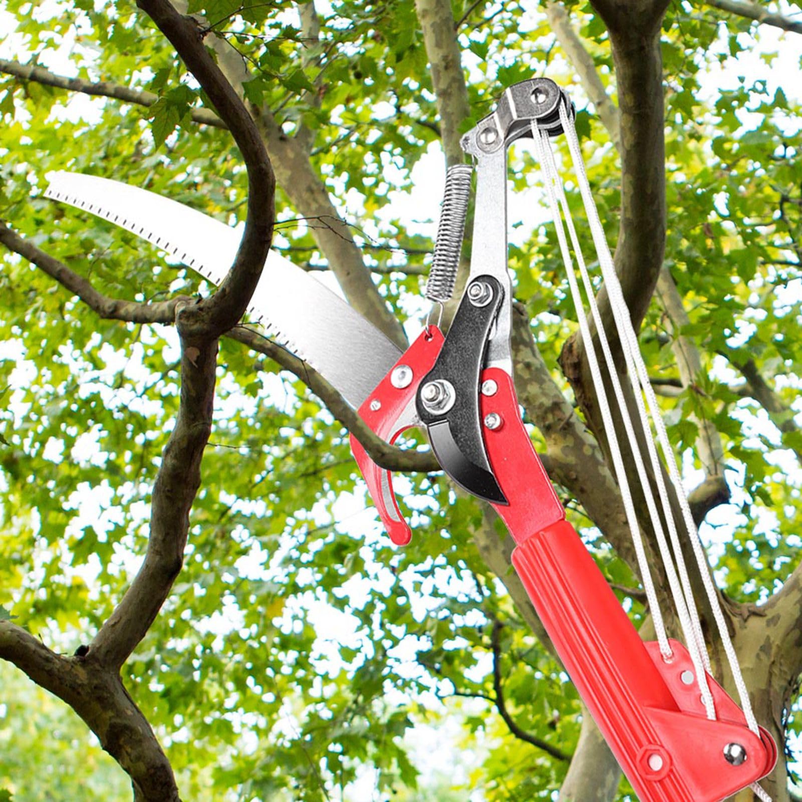 High-Altitude Branches Trimmer