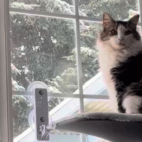 Foldable Cat Beds for Indoor Cordless Cat Window Perch