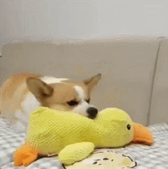 🦆Mellow Dog Calming Duck Dog Toy