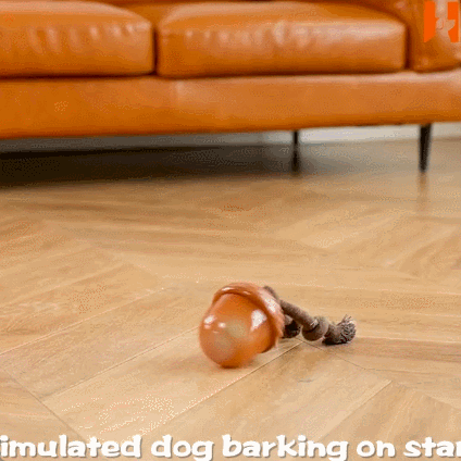 🐶 The Ultimate Winter Energy‑Burning Toy for Dogs