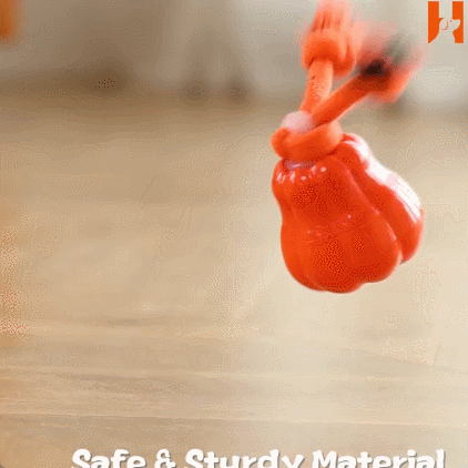 🐶 The Ultimate Winter Energy‑Burning Toy for Dogs