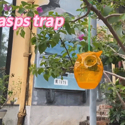 🦉⚡ 2 Pack Solar Owl Wasp Trap – Nature’s Guardian Meets High-Tech Pest Control! 🌞🐝