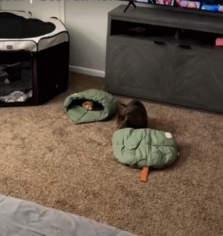 Linen Fabric Cat Bed Cave Cat Sleeping Bag