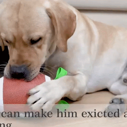 Superbowl Football Party Interactive Dog Toys