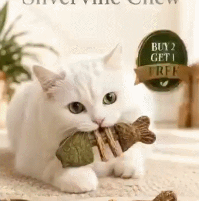 🦷🐱Natural Silvervine Dental Chew Toy for Cats-Let Your Cat Brush Their Own Teeth!