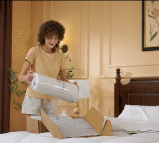Premium Soft Faux-Goose-Down Pillow （2 Pack）
