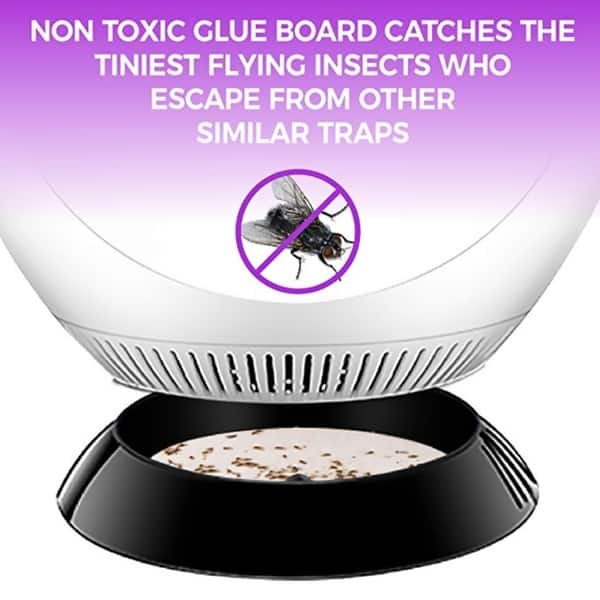 🔥Mosquito And Flies Killer Trap