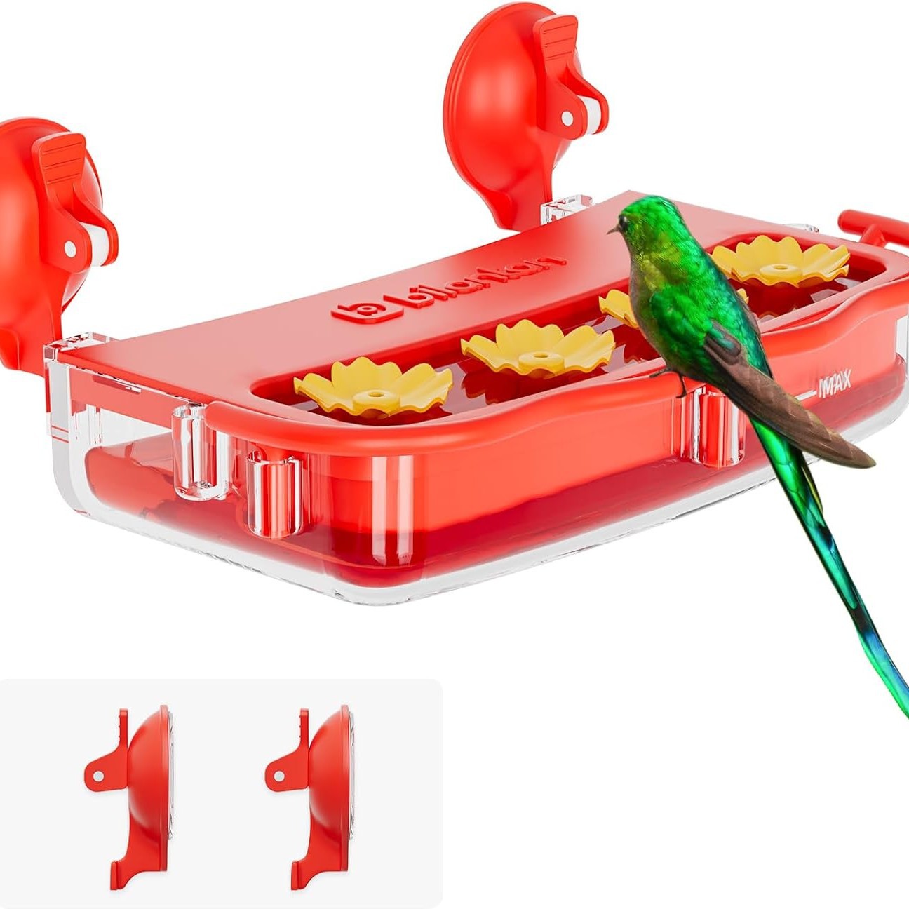 Window Hummingbird Feeder Strong Suction Cup
