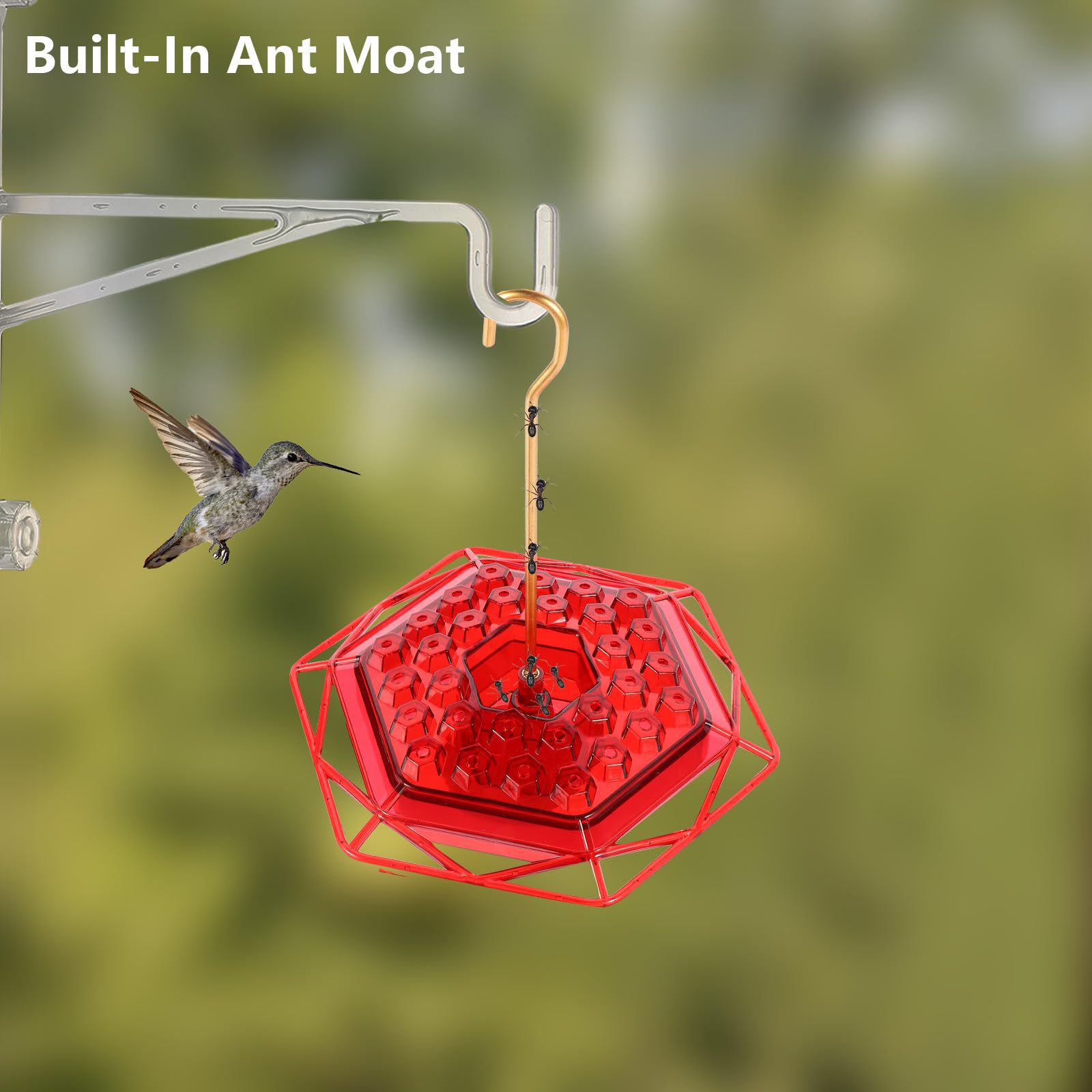🐦✨ Hummingbird Haven Feeder – Ant-Proof, Leak-Free & Effortless Joy for Bird Lovers! 🌺🛡️