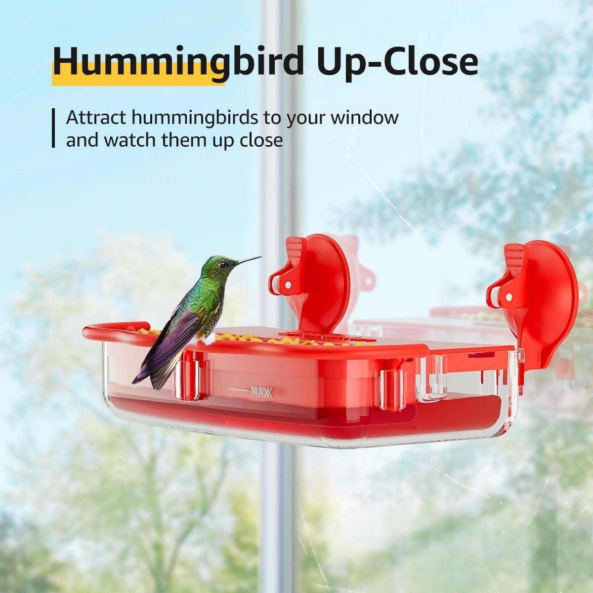 Window Hummingbird Feeder Strong Suction Cup