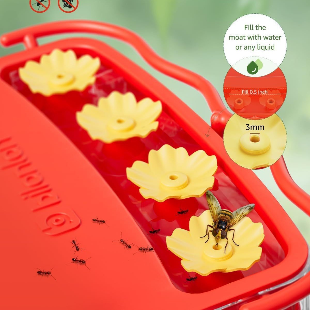 Window Hummingbird Feeder Strong Suction Cup