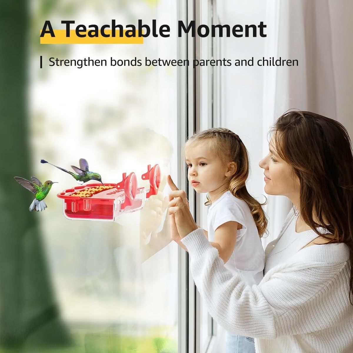 Window Hummingbird Feeder Strong Suction Cup