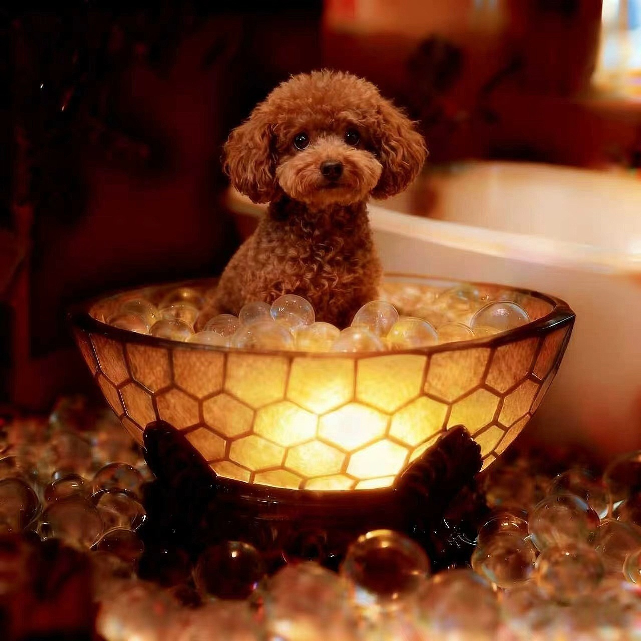 Adorable Dog Bubble Bath Resin USB Table Lamp