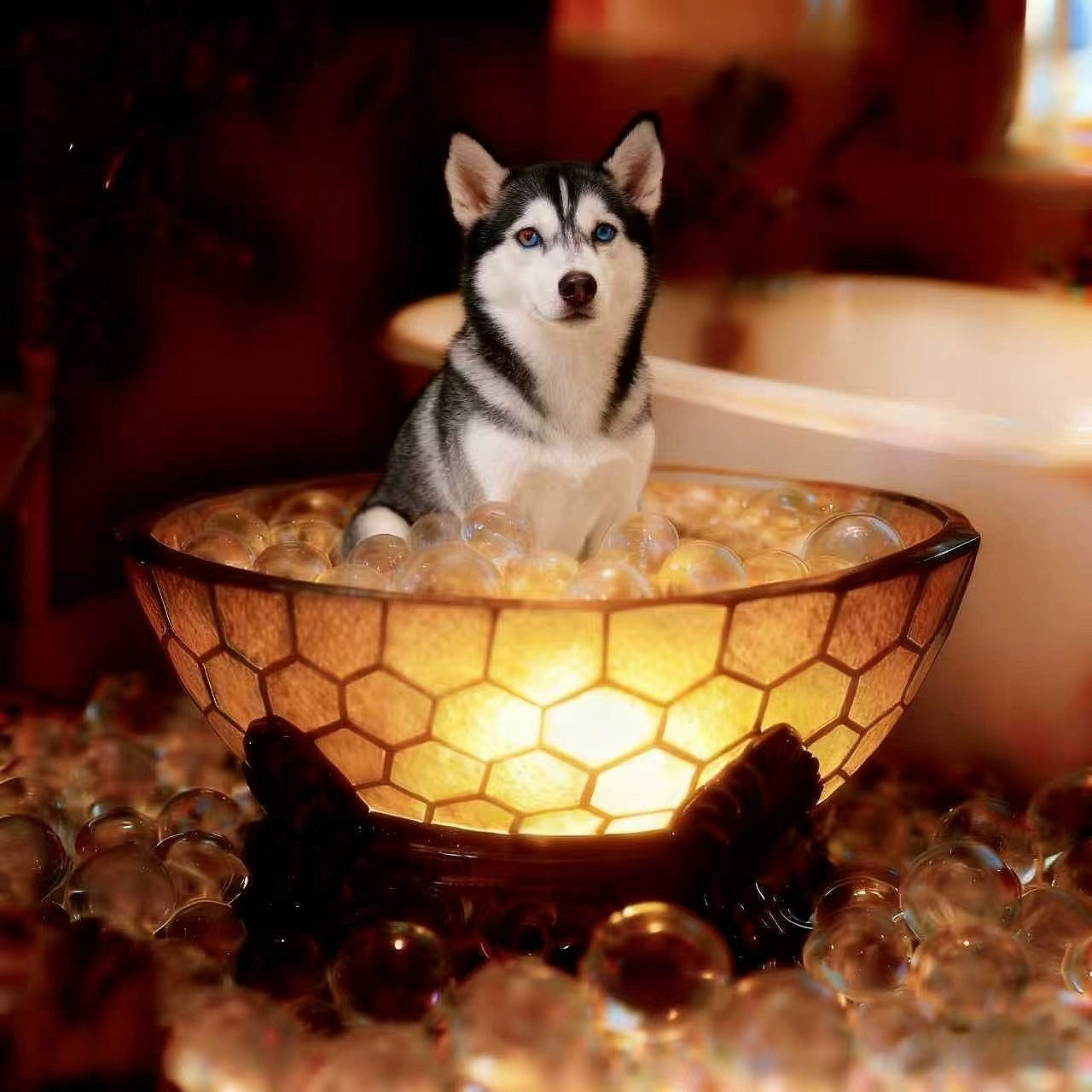 Adorable Dog Bubble Bath Resin USB Table Lamp