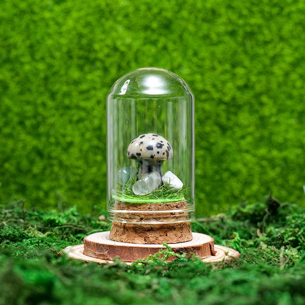🍄Mini Crystal Mushroom Terrariums| Choose Your Natural crystal Mushroom