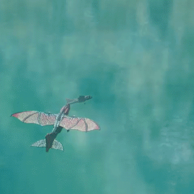 RC Dragon Plane for Kids Remote Control Airplane Toy