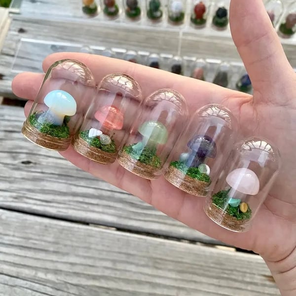 🍄Mini Crystal Mushroom Terrariums| Choose Your Natural crystal Mushroom