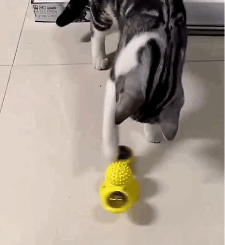 🔥 Interactive Windmill Cat Toys with Catnip