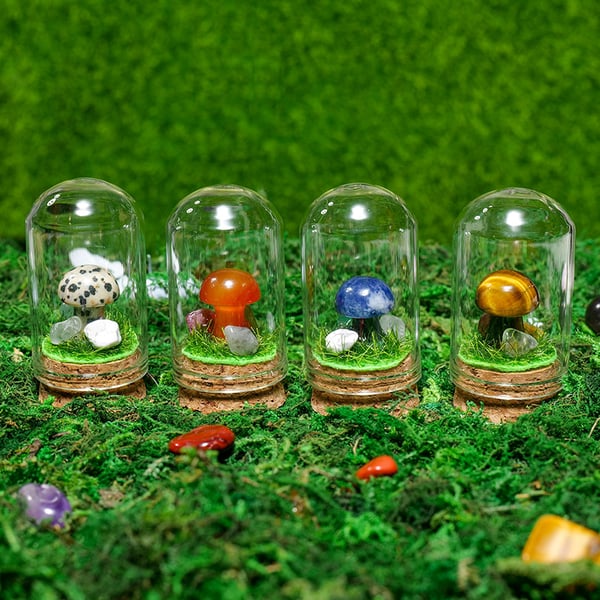 🍄Mini Crystal Mushroom Terrariums| Choose Your Natural crystal Mushroom