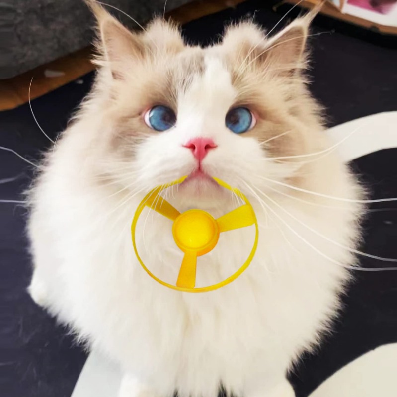 Light-Up Flying Disc Cat Launcher Set