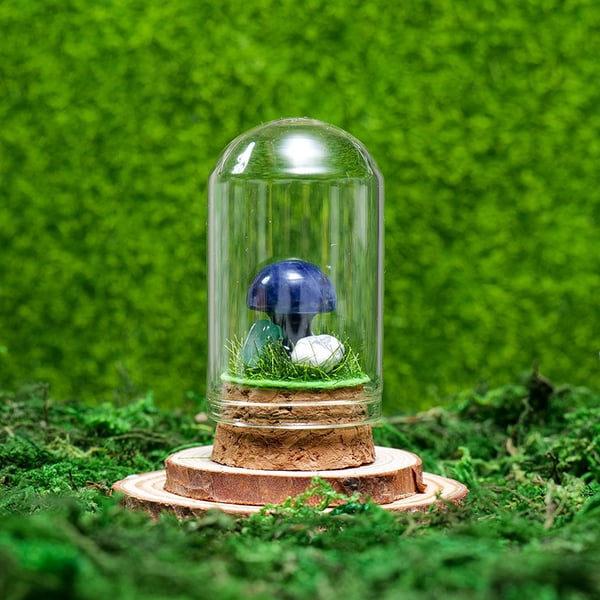 🍄Mini Crystal Mushroom Terrariums| Choose Your Natural crystal Mushroom