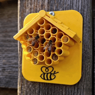 🐝Bee Hotel – a safe haven for wild bees in your garden🌿