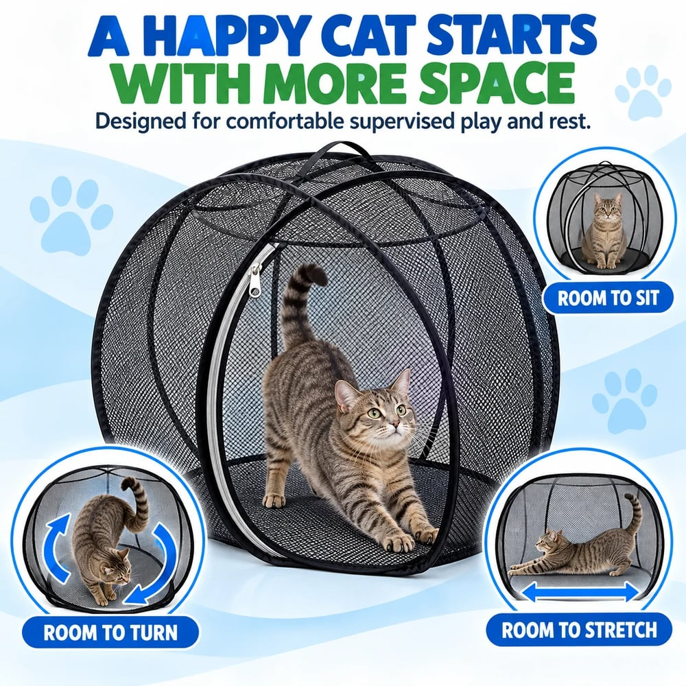 🐱360° Panoramic Pop-Up Rolling Cat Playpen Ball🐾