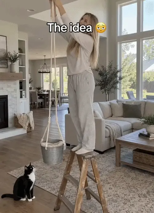 Boho Macrame Cat Hammock 🐱 Cozy Hanging Bed for Cats