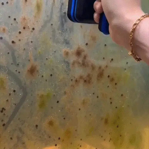 🎁2026 New Arrivals 49% OFF💥Magnetic Aquarium Glass Cleaner Tool