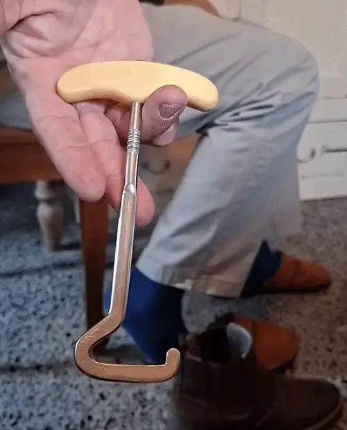 👞 Horse-Shaped Shoe Horn Hook for Easy Wear
