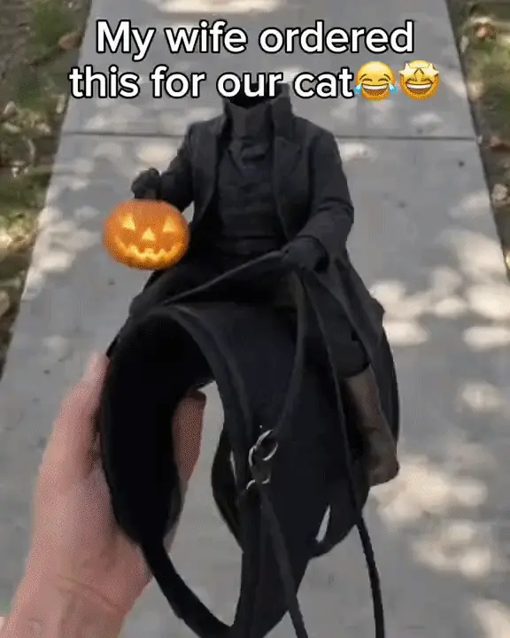 😺The Headless Horseman Rider Pet Costume🎃