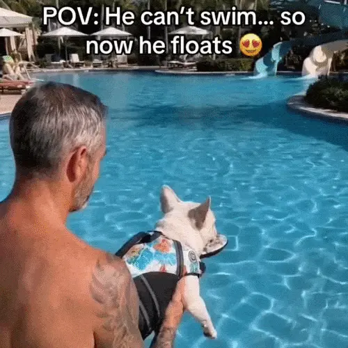 Dog Life Jacket with Head Support