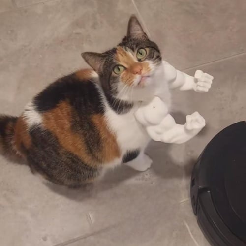 🔥2025 Summer Hot Sale - 48% OFF🔥Cat Muscle Arms – Funny 3D Printed Hulk Arms for Cats💪