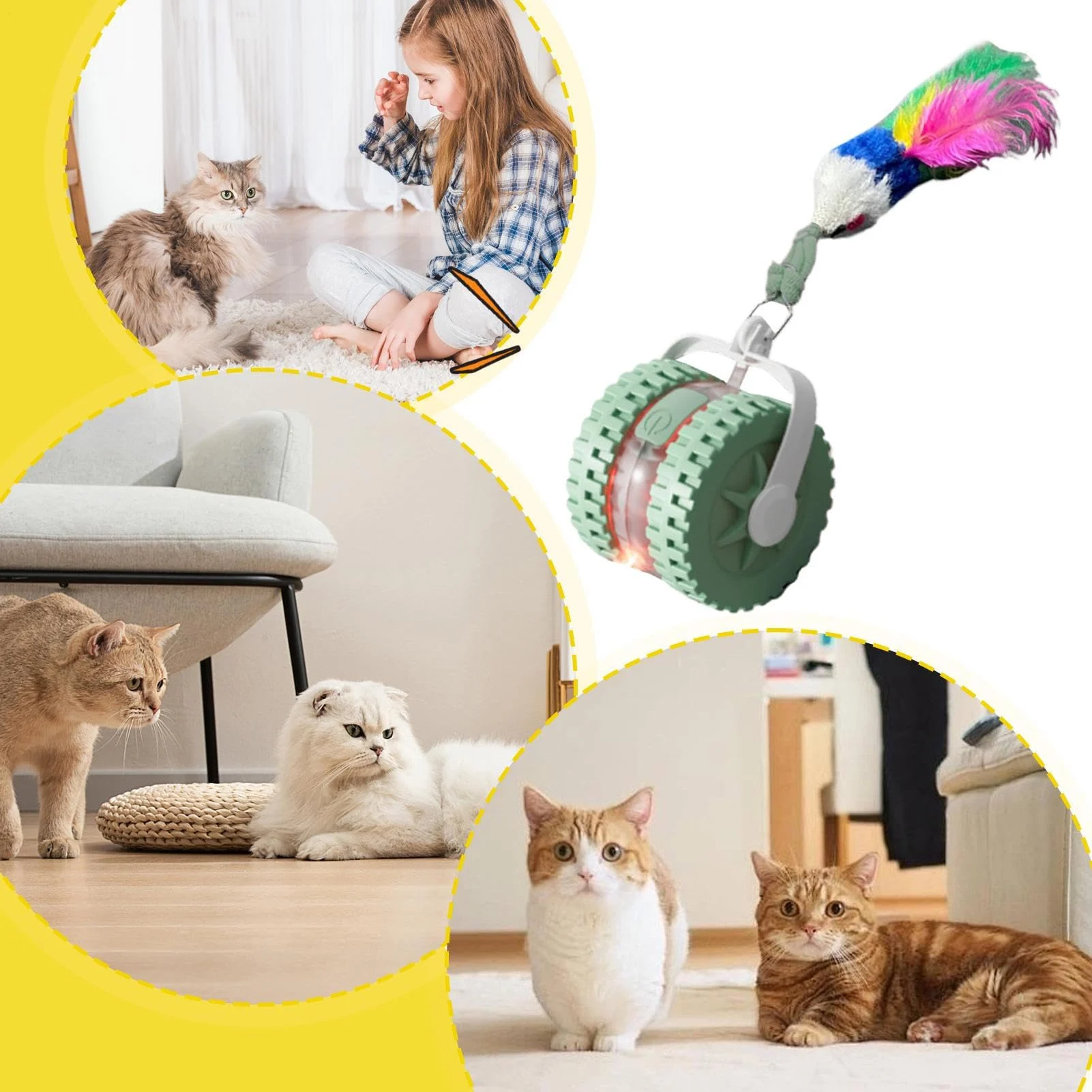 Interactive Pet Ball Toy