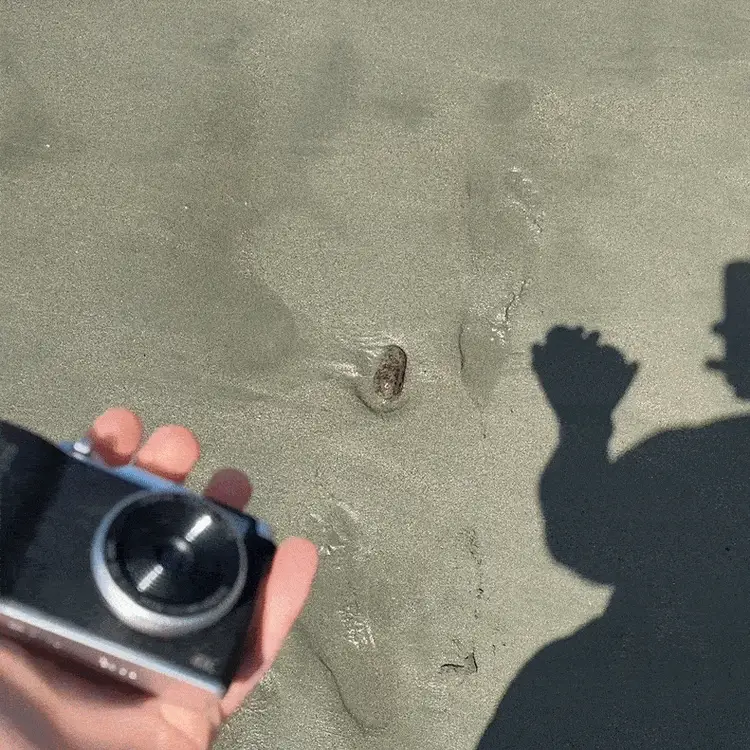 4K Foldable Screen Digital Camera