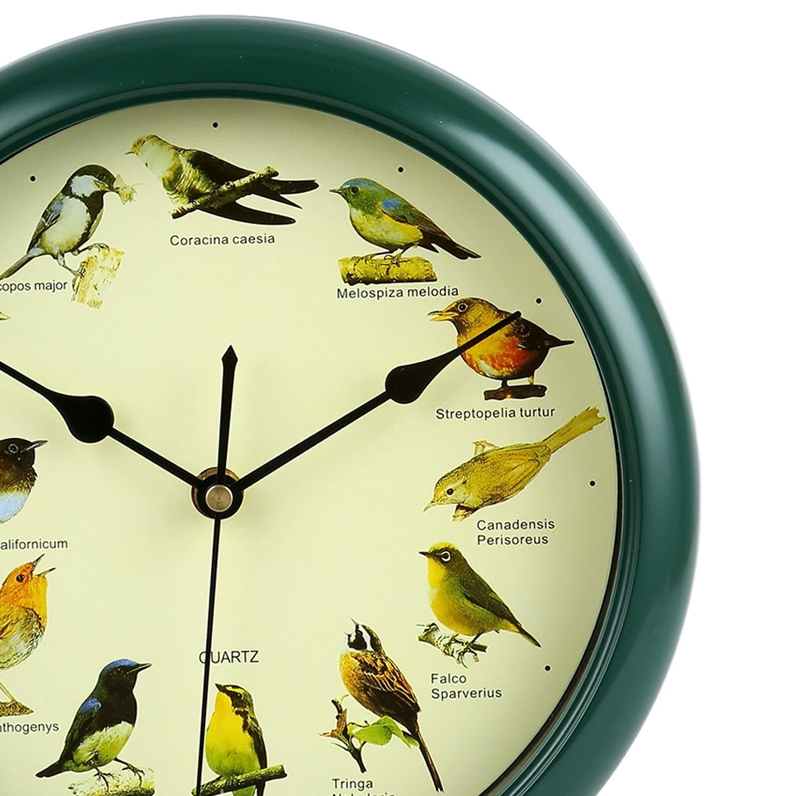 The Original Singing Bird Clock 25th Anniversary Edition