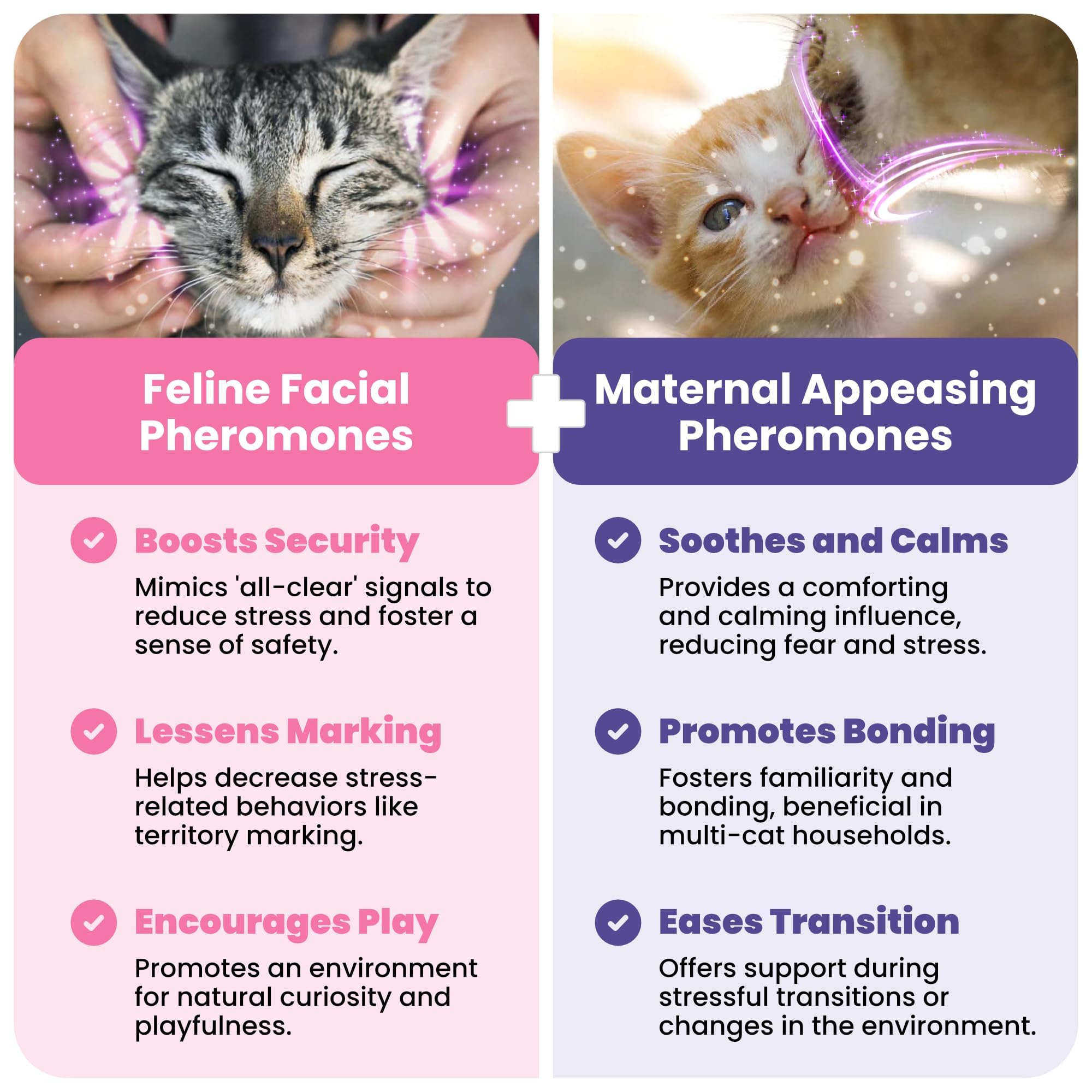 Cat Pheromone Calming Aromatherapy Reduces Fighting, Spraying, And Scratching