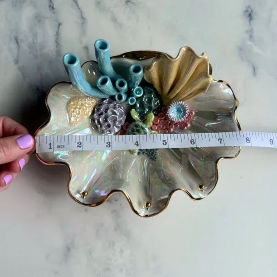 Sea Shell Wall Hanging