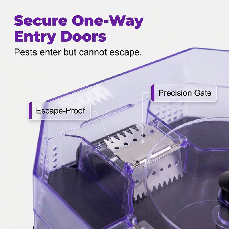 Reusable Multi-Entry Roach Trap