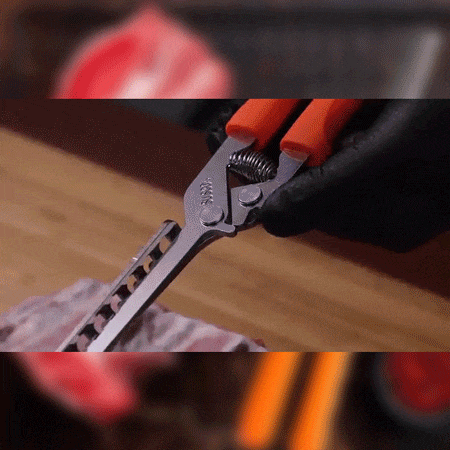 Stainless Steel Rib Membrane Remover Tool