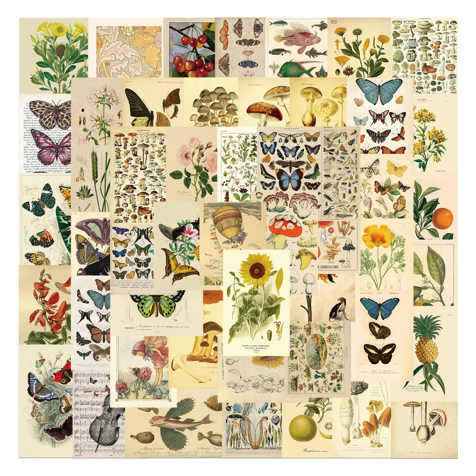 Vintage Butterflies and Flowers, Plants Sticker Pack 50 pieces 