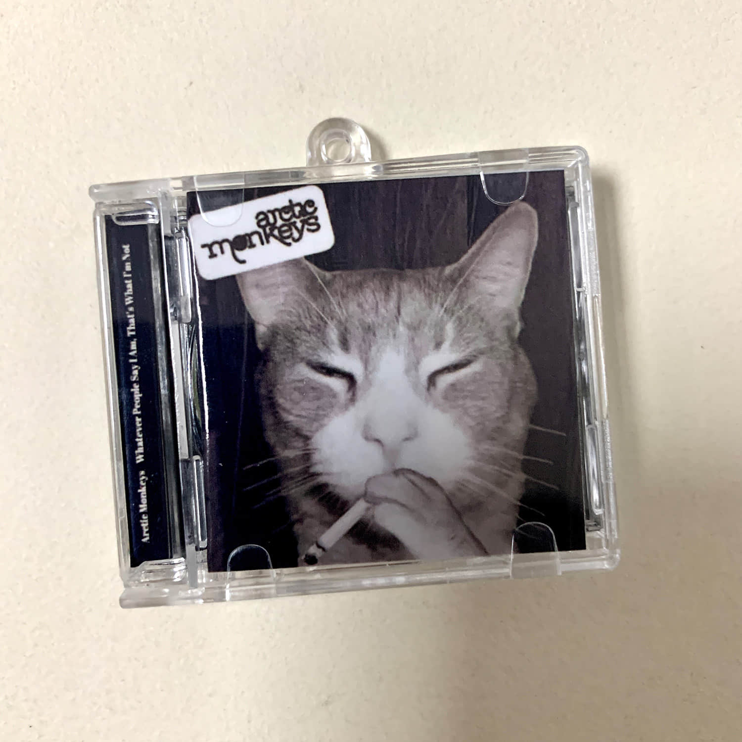 Cat Cover III Little CD Album Cover Keychains – Arctic Monkeys - nirvana in utero - Lana Del Rey