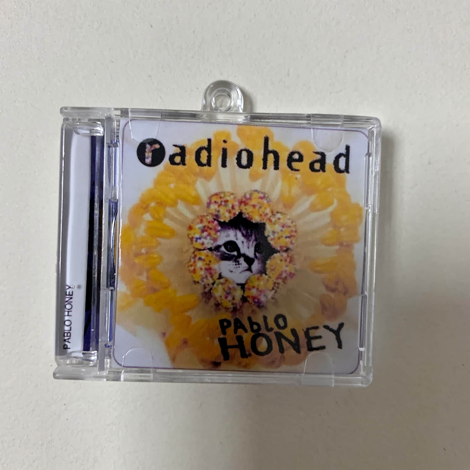 Cat Cover Design Little CD Album Cover Keychains - Radiocat - Deftones cat - KORN cat