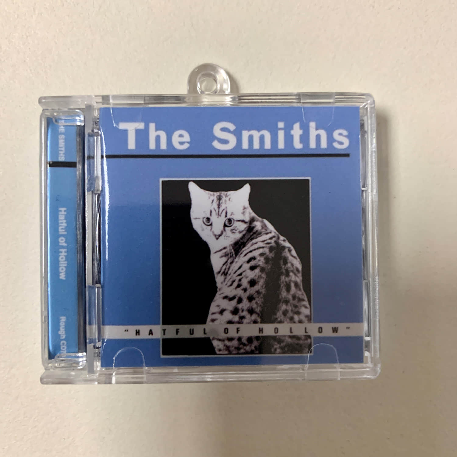 Cat Cover Design Little CD Album Cover Keychains - Radiocat - Deftones cat - KORN cat